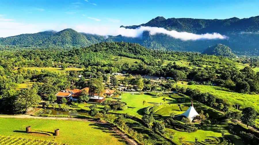 Khao Yai Vineyard Tasting Tour & Horse Farm Visit - Morning start: Bangkok pickup to PB Valley by sunrise