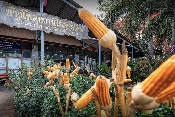 KhaoYai National Park 3D2N - Haew Narok and Ban Tha Chang: the nature day with the forest walk