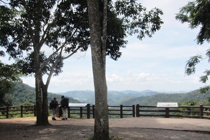KhaoYai National Park 3D2N - Should you book this Khao Yai 3D2N tour?