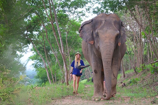 Living Green Elephant Sanctuary Tour from Bangkok and Pattaya - Key points that make this one worth considering