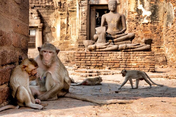 Lopburi Monkey Temple & Ayutthaya Old City Tour From Bangkok - Pickup and meeting points in Bangkok: where you actually need to go