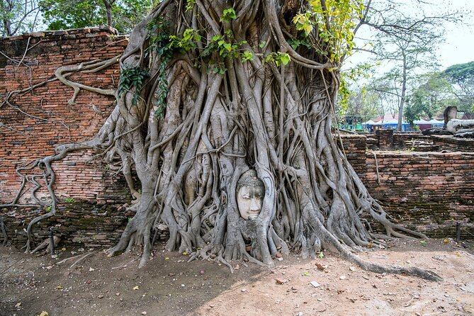 Private Ayutthaya Day Tour from Bangkok - Lunch, bottled water, and staying sane in 40°C weather
