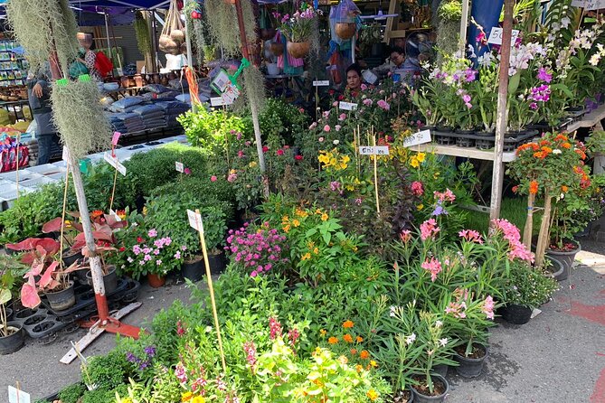 Private Exclusive Guided Chatuchak Weekend Market Shopping Tour - Food, Drinks, and the Lunch Question You Should Confirm