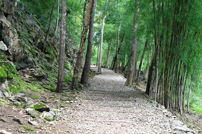 Private Historic River Kwai Death Railway, War Cemetery and Hellfire Pass Tour - Quick reasons this Death Railway tour is worth your time