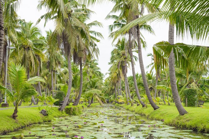 Private Tour: Floating Markets and Suan Sampran Day Trip from Bangkok - What to pack and how to stay comfortable on a long river day