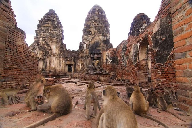 Private tour to Ayutthaya and Lopburi Monkey Temple (from Bangkok) - Lunch that keeps the day on track
