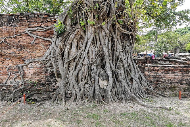 Private tour to Ayutthaya and Lopburi Monkey Temple (from Bangkok) - Lopburi’s Phra Prang Sam Yod: meet the monkeys with a plan