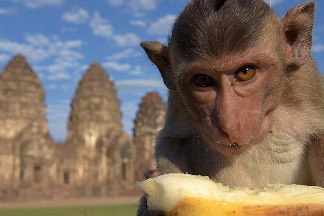 Private tour to Ayutthaya and Lopburi Monkey Temple (from Bangkok) - Timing, transport, and what to bring for this kind of day
