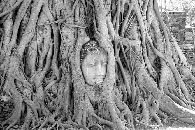 Private Trip : Ayutthaya historical venture, boat ride & lunch - Wat Yai Chai Mongkol: giant pagodas tied to an elephant-backed victory