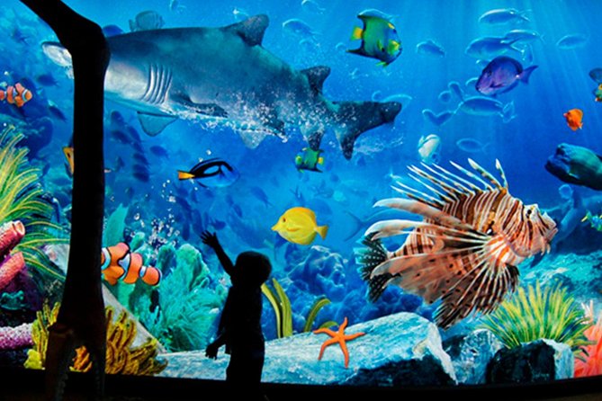 Sea Life Bangkok Ocean World Tickets - Key highlights at a glance