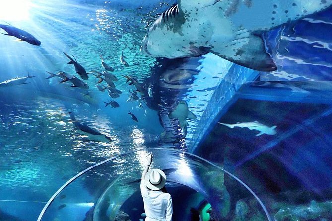 Sea Life Bangkok Ocean World Tickets - Madame Tussauds is the included bonus you’ll actually use