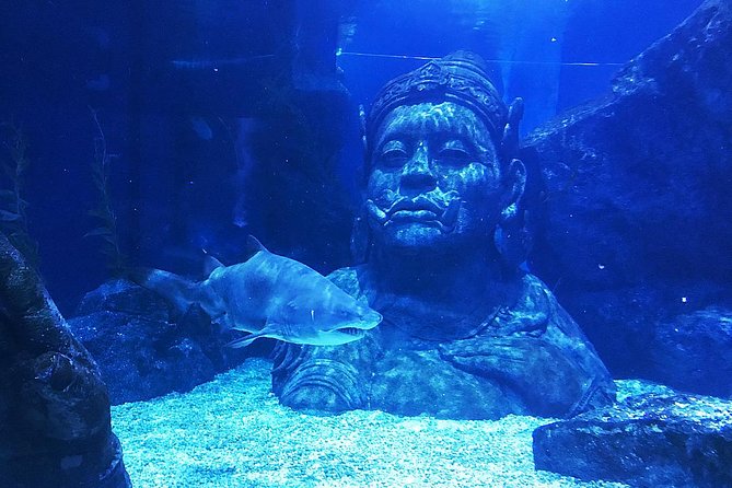 Sea Life Bangkok Ocean World Tickets - Timing tips for a smooth visit (and avoiding late-day letdowns)