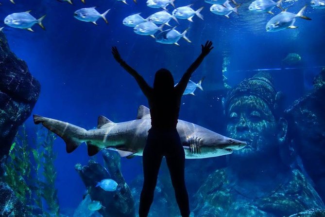 Sea Life Bangkok Ocean World Tickets - Who this is best for in Bangkok