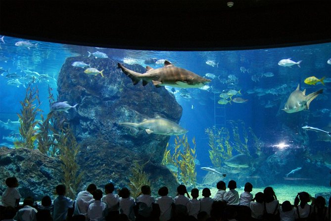 SEA LIFE & Madame Tussauds: Ultimate Bangkok Combo Ticket - A Siam-area combo: celebrity wax meets Bangkok’s aquarium fun