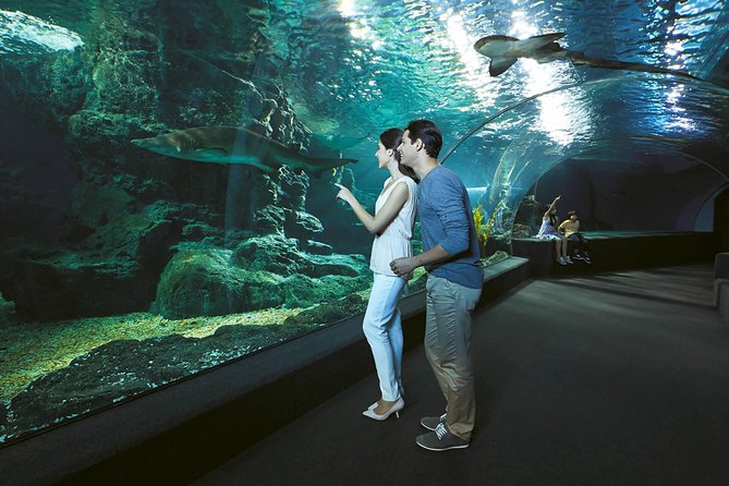 SEA LIFE & Madame Tussauds: Ultimate Bangkok Combo Ticket - Who this ticket suits best (and who might skip it)
