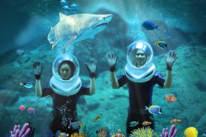 SEA LIFE & Madame Tussauds: Ultimate Bangkok Combo Ticket - Should you book the SEA LIFE and Madame Tussauds Bangkok combo?