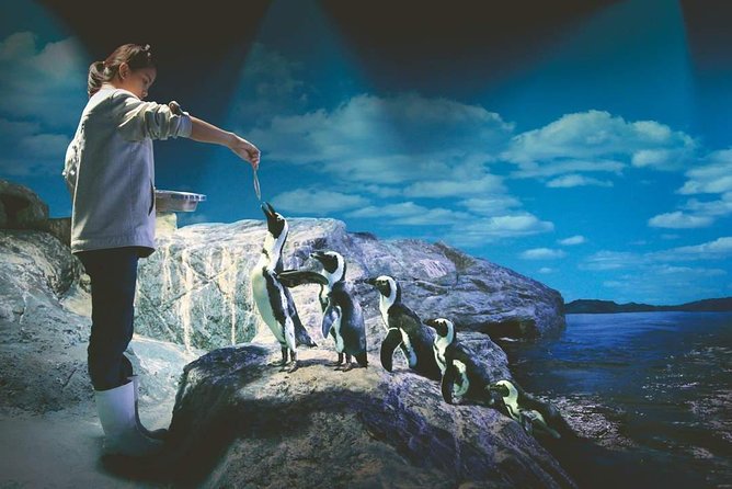 SEA LIFE Ocean World at Bangkok Admission Ticket - Your Route Through 7 Exhibits: Easy to Follow, Easy to Love