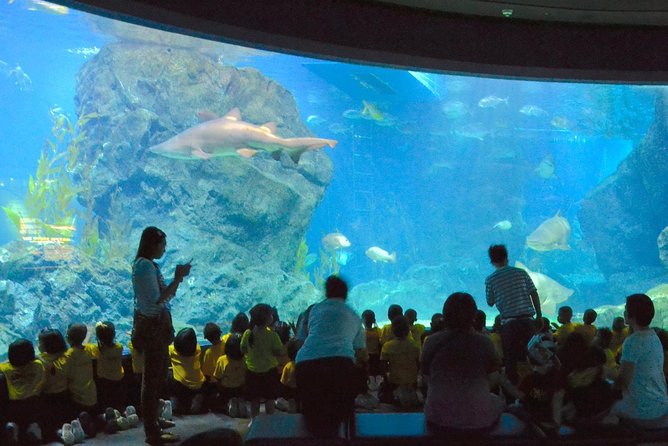 SEA LIFE Ocean World at Bangkok Admission Ticket - Family-Friendly by Design (And Still Fun for Couples)