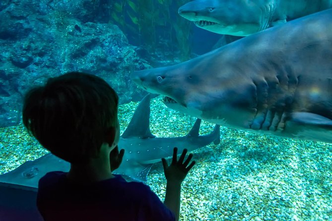 SEA LIFE Ocean World at Bangkok Admission Ticket - Timing Tips: How to Get the Most Without Rushing