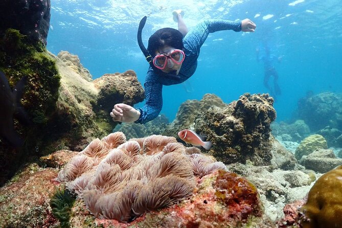 Snorkeling Full Day Experience from Bangkok - Key Highlights You’ll Actually Feel