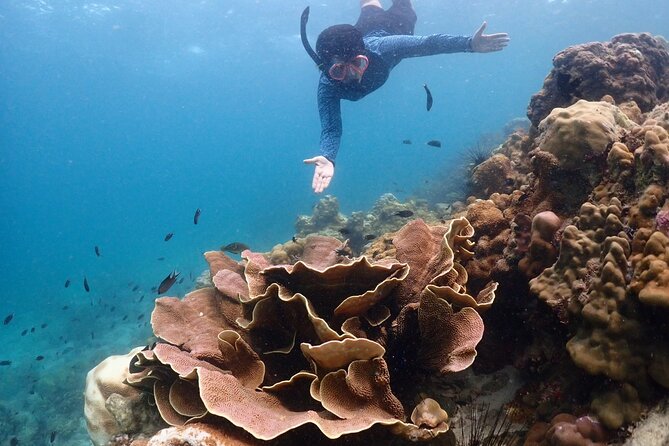Snorkeling Full Day Experience from Bangkok - Price and Value: Why $318 Can Make Sense for a Small Private Group