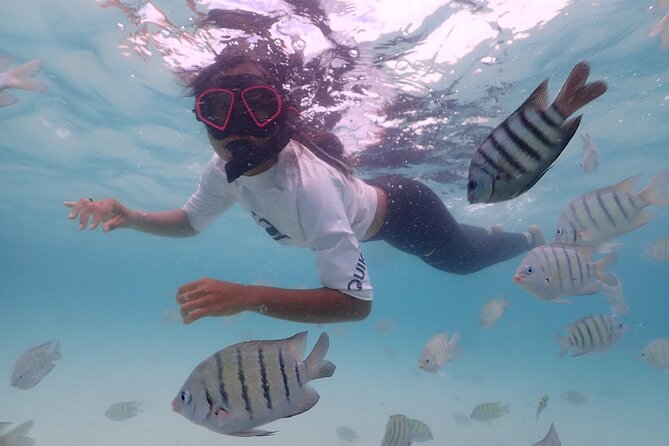 Snorkeling Full Day Experience from Bangkok - Group Size and Pace: What Private Really Means Here