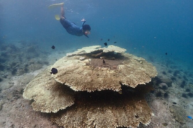 Snorkeling Full Day Experience from Bangkok - Weather Reality: When the Sea Changes the Plan