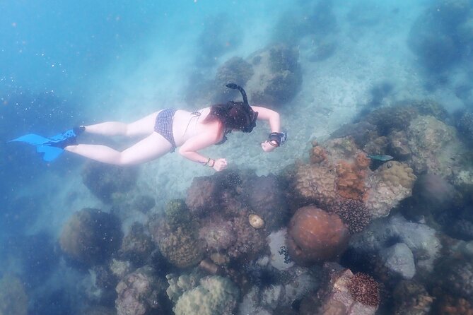 Snorkeling Full Day Experience from Bangkok - Who This Tour Fits Best (and Who Might Want Something Else)