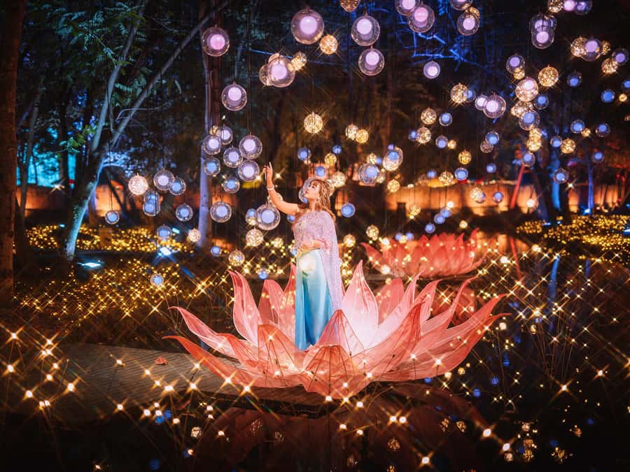 The Lens: Once-a-Year Moment at Na Satta Park Light Festival - Key moments that make this day work