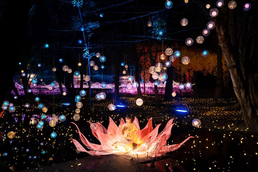 The Lens: Once-a-Year Moment at Na Satta Park Light Festival - Price and value: is $154 worth it?