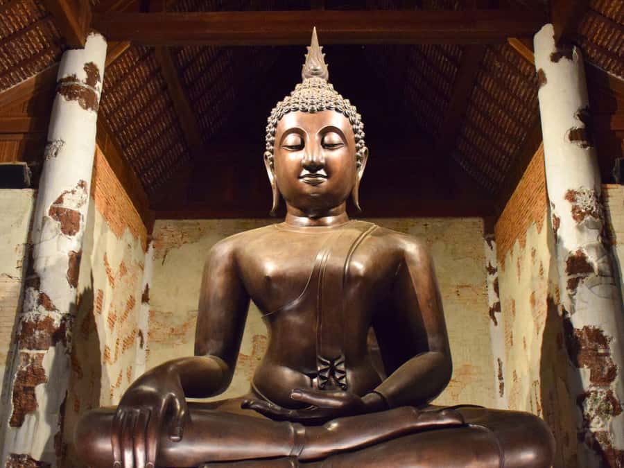 The Souls BKK: Floating Market, Dragon Temple, Na Satta Park - Price and Value: What $147 Actually Buys You