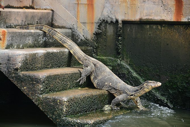 Timeless Thonburi Canal and Food Tour - The temple stop: a quiet reset between the bites