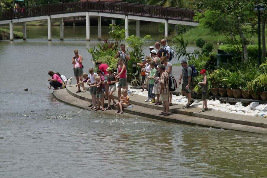 Tuk-Tuk, Longtail-boat and Rickshaw Bangkok jungle Tour - Weekend bonus: Bang Nam Phueng Floating Market