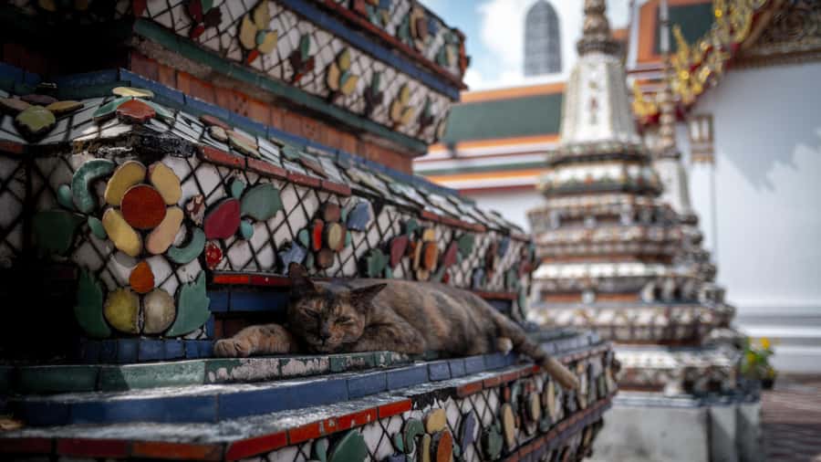 Walking tour Grand Palace, Emerald Buddha, Wat Pho, Wat Arun - Wat Pho: Reclining Buddha and the on-foot rhythm